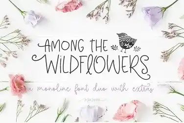 among the wildflowers font