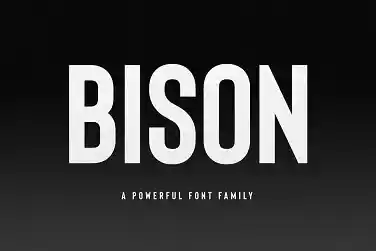 bison font