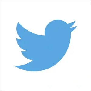jenis logo pictorial twitter