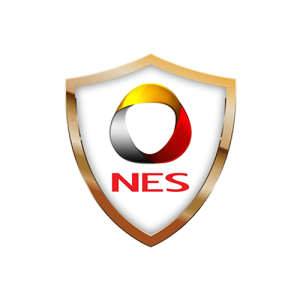 NES LOGO Website