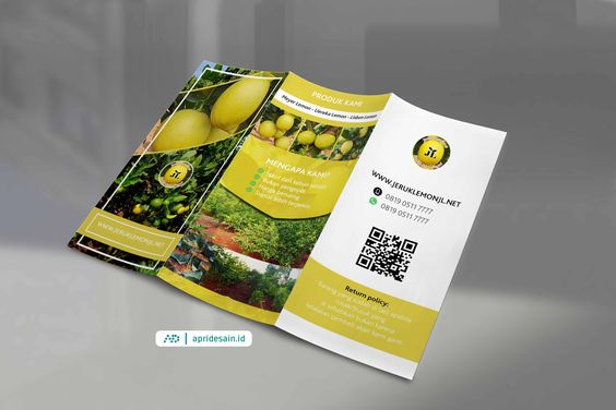 desain flyer buah jeruk